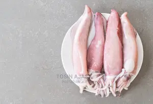 Calamari / Squid
