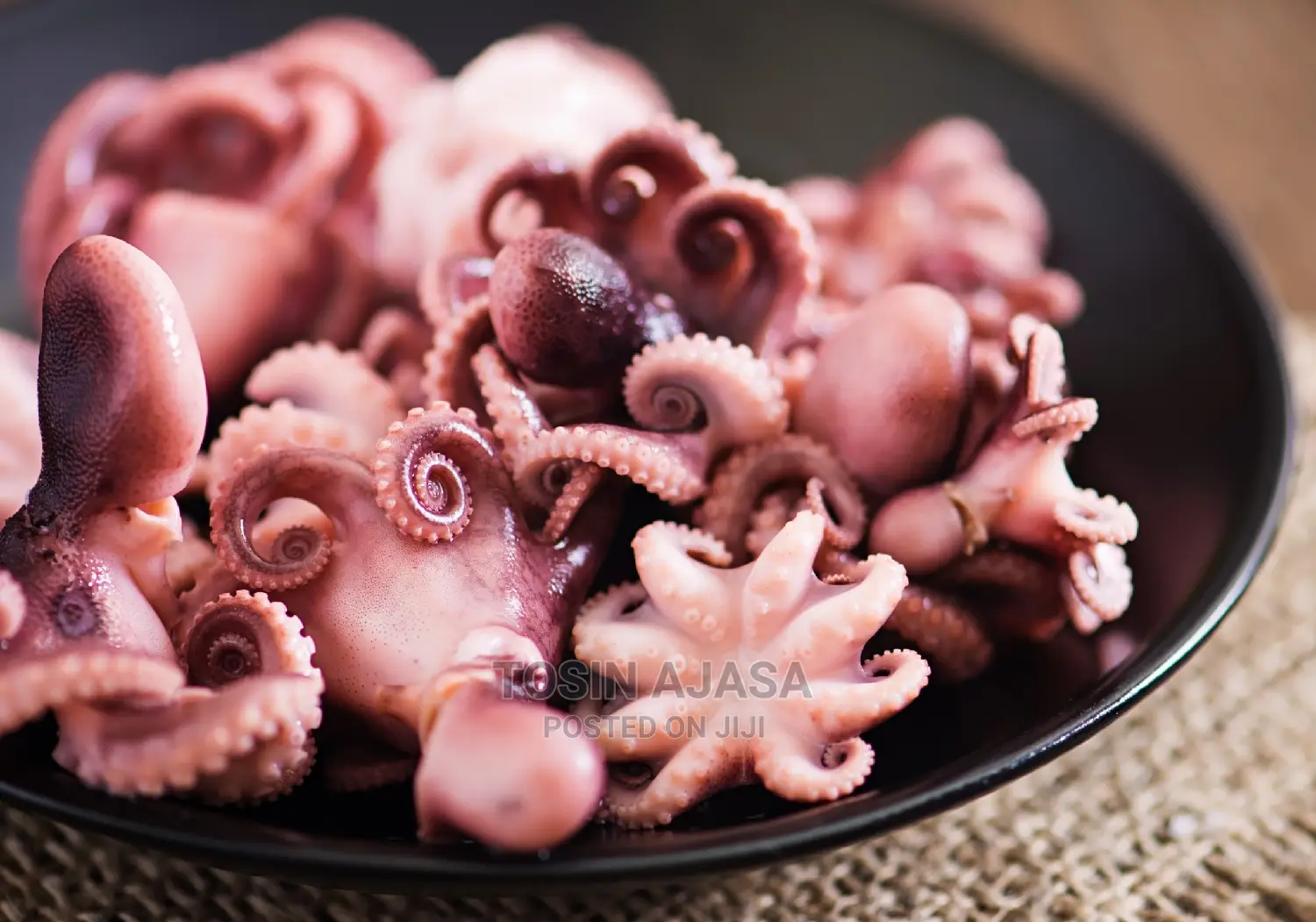 Fresh, Frozen Octopus Seafood