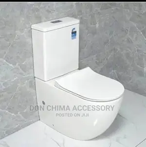 Luxury Toilet