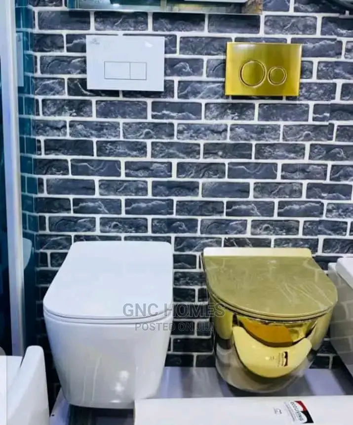Wall Mounted WC