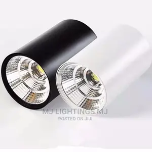 Cylinder Lamp Dimmable Ceiling Downlight