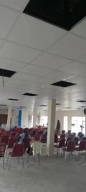 Suspended Ceilings Profile