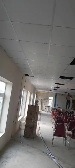 Suspended Ceilings Profile