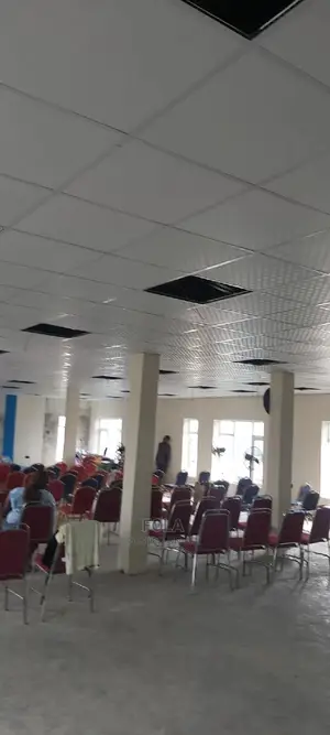 Suspended Ceilings Profile
