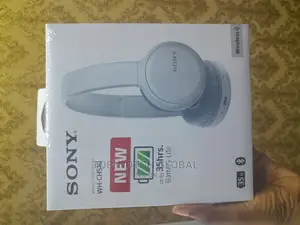 SONY Wh _ Ch510