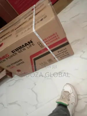 Sumec Firman Generator Spg3000e2 With Tyre Battery