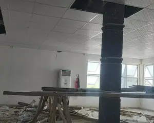 Affordable Suspended Ceiling With Accessories