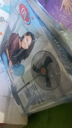 Standing Fan