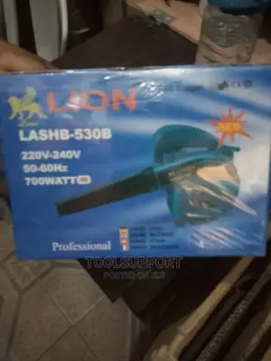 Hand Held Air Blower