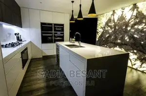 Luxury Kitchen Cabinet Design With Accessories