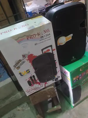 12 Inches PRO KING PA System