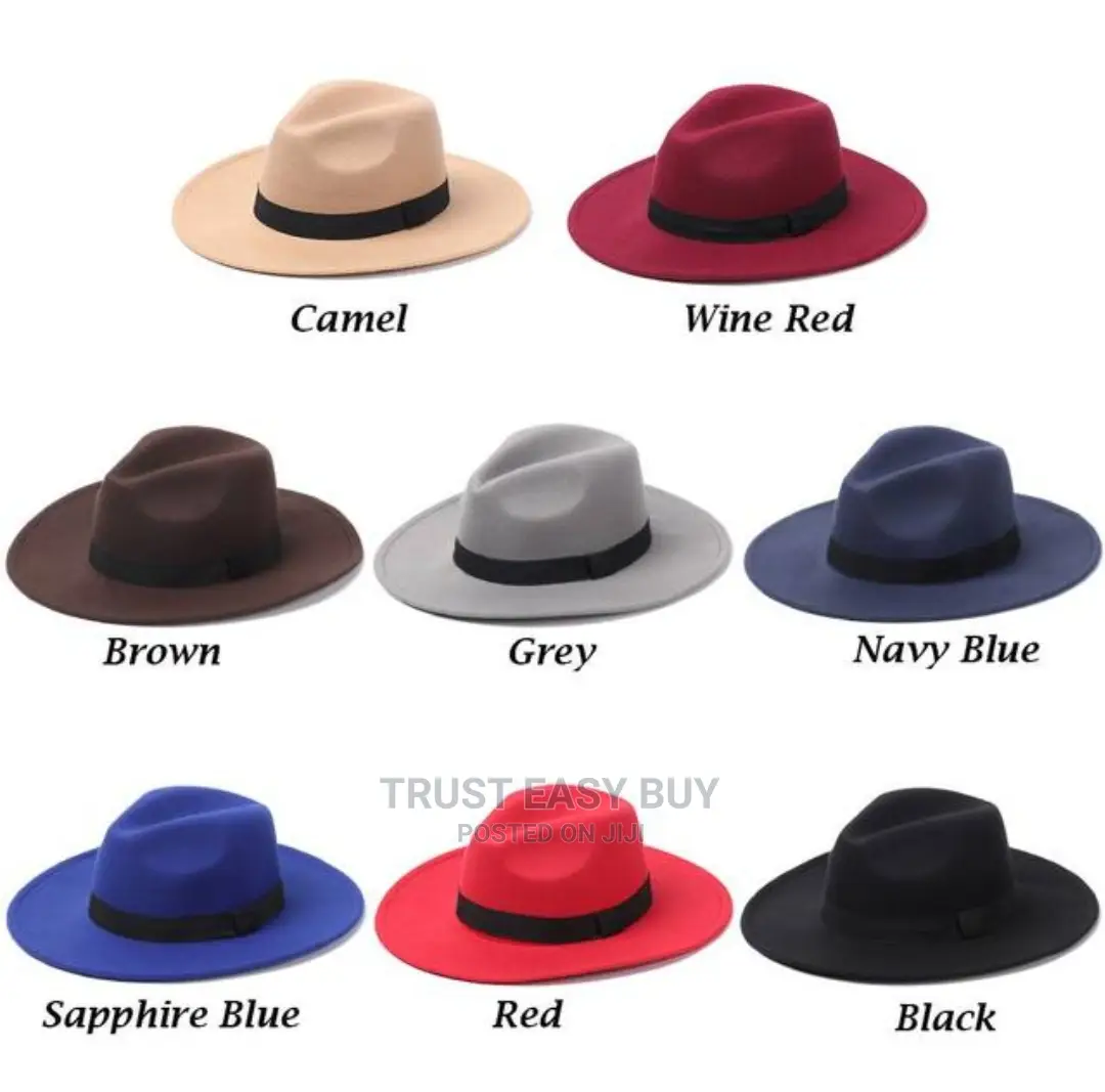 Brand New Fedora Hat