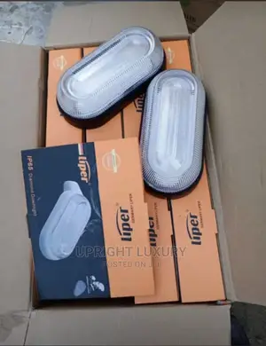 LED Outdoor/Fence Light