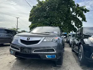 Acura MDX 2010 Gray