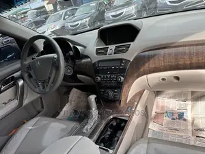 Acura MDX 2010 Gray