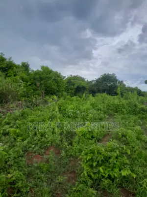 10 Acres of Land Fenced Together at Agbowa Ikorodu