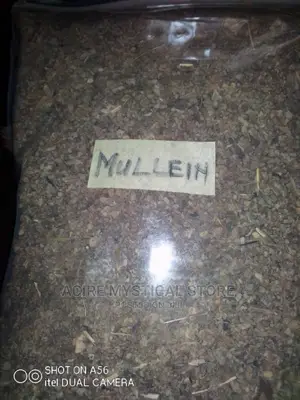 Mullien Herbs