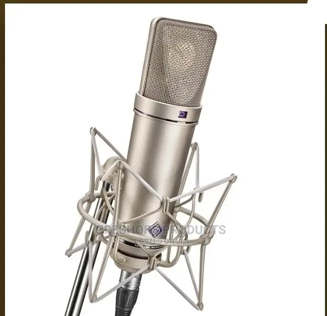 Behringer U87 Professional Condenser Microphone
