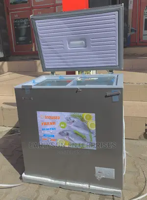 Snowsea Freezer