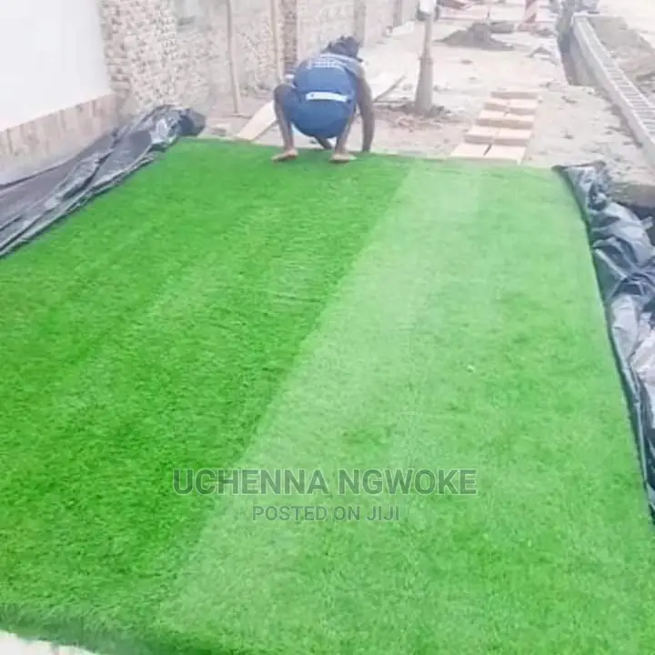 Highest Quality Grass