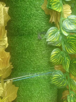 Highest Quality Grass