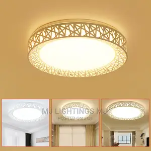 LED Ceiling Bird Nest Round Lamp.