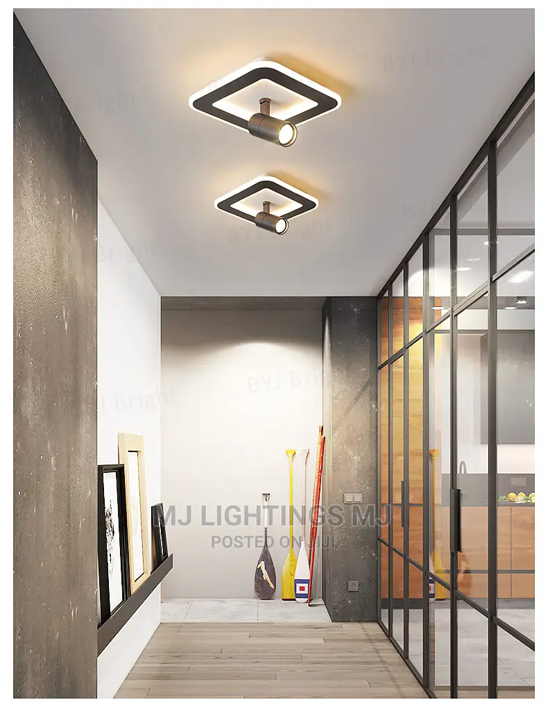 Modern Creative LED Ceiling Lamp.