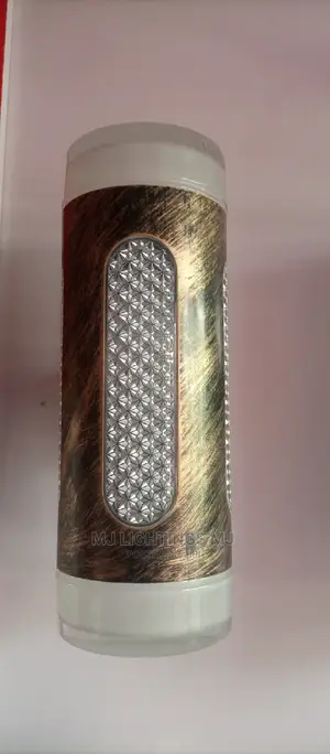 Modern Outdoor LED Wall Light.