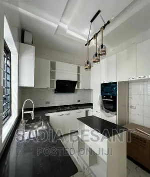 Luxury Kitchen Cabinet Design With Accessories