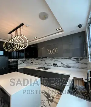 Luxury Kitchen Cabinet Design With Accessories