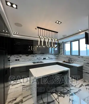 Luxury Kitchen Cabinet Design With Accessories