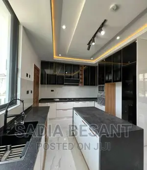 Luxury Kitchen Cabinet Design With Accessories
