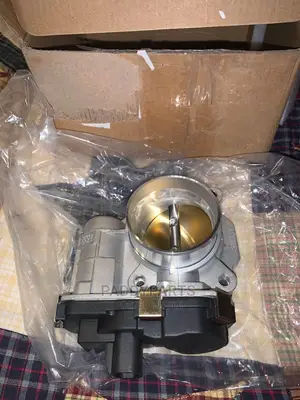 Chevrolet Equinox Throttle Body/ Injector Mouth