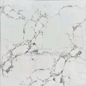 60 X 60 Polished Floor Tiles