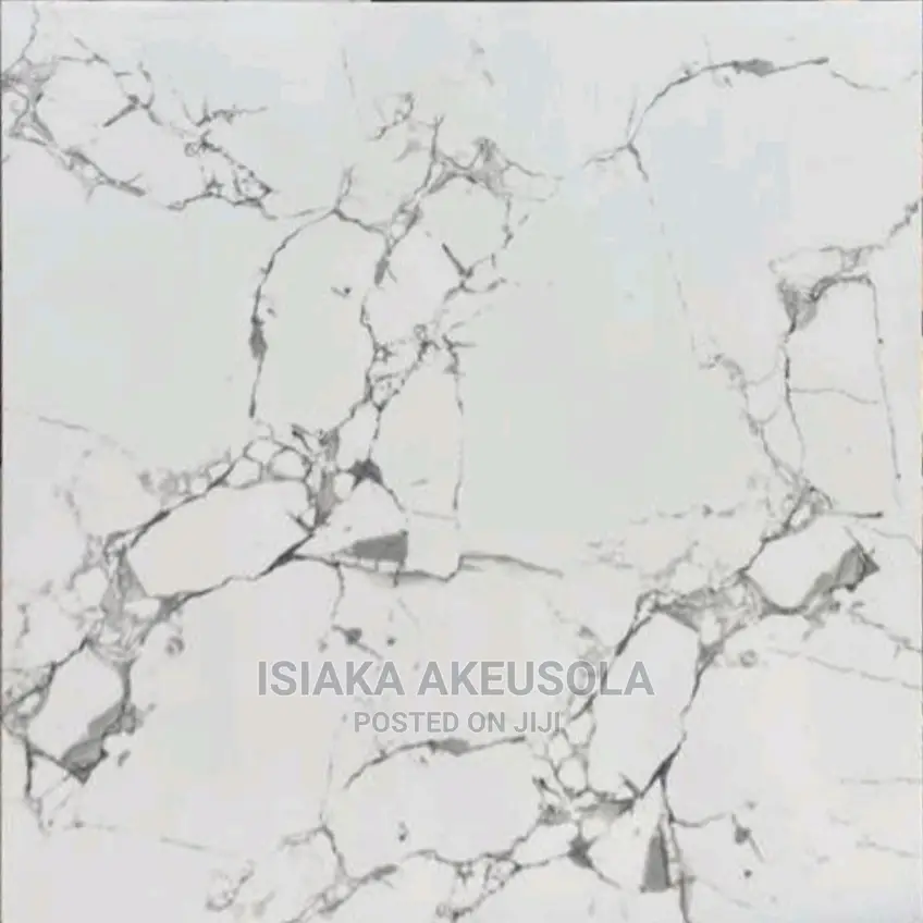 60 X 60 Polished Floor Tiles