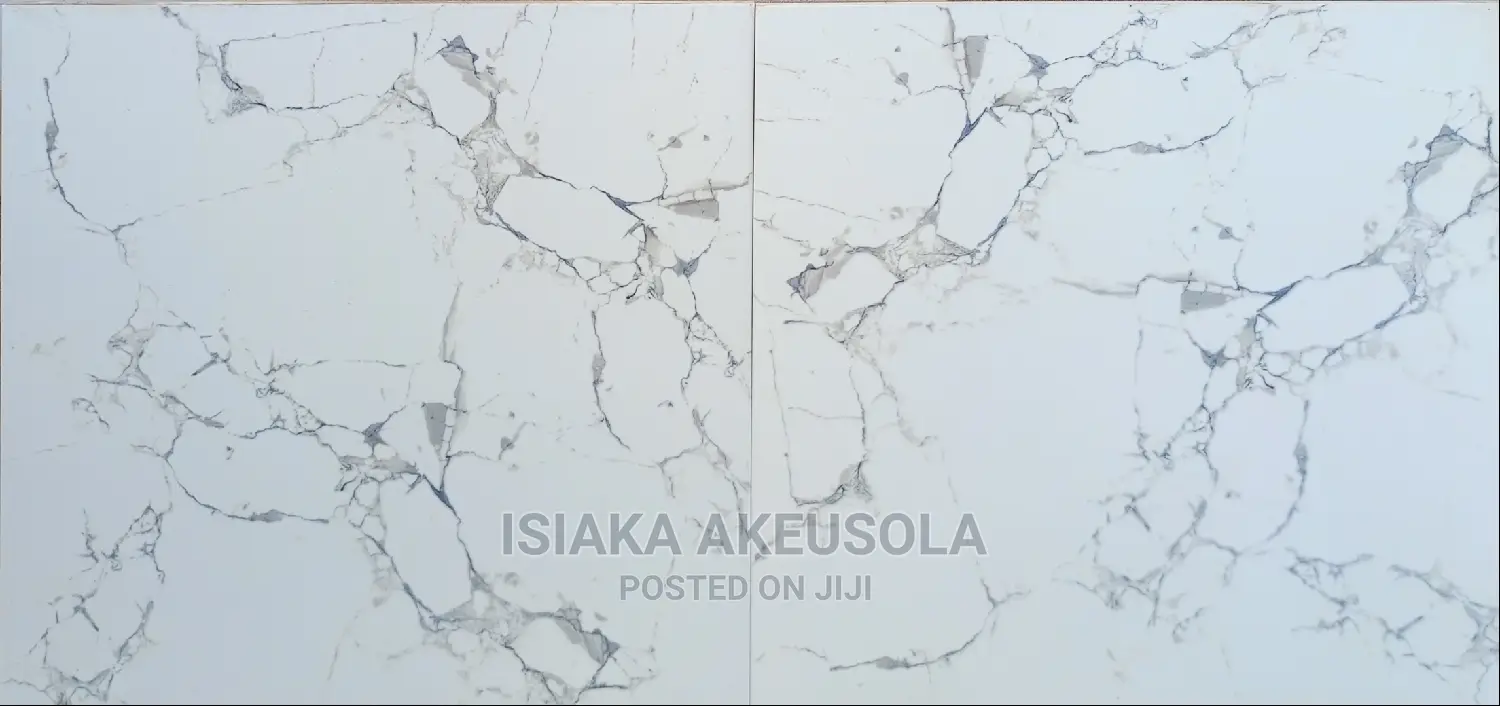 60 X 60 Polished Floor Tiles