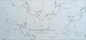 60 X 60 Polished Floor Tiles