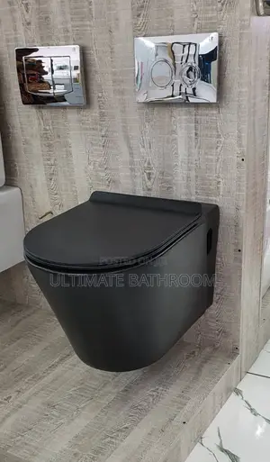 Round Black Conceal Watercloset