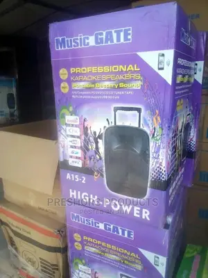 5000 Watts 15 Inches High Power Pa System