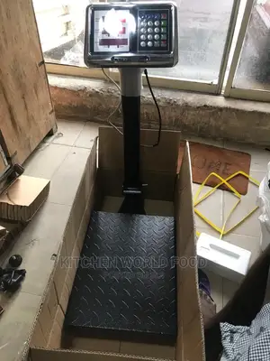 100kg Original Digital Camry Scale in Alaba Lagos