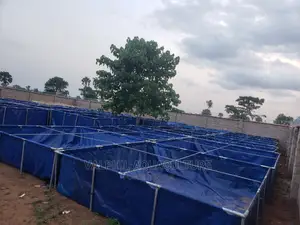 Fish Ponds Construction.