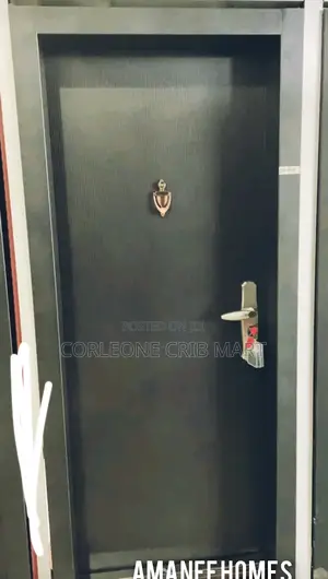 China Pure Steel Door