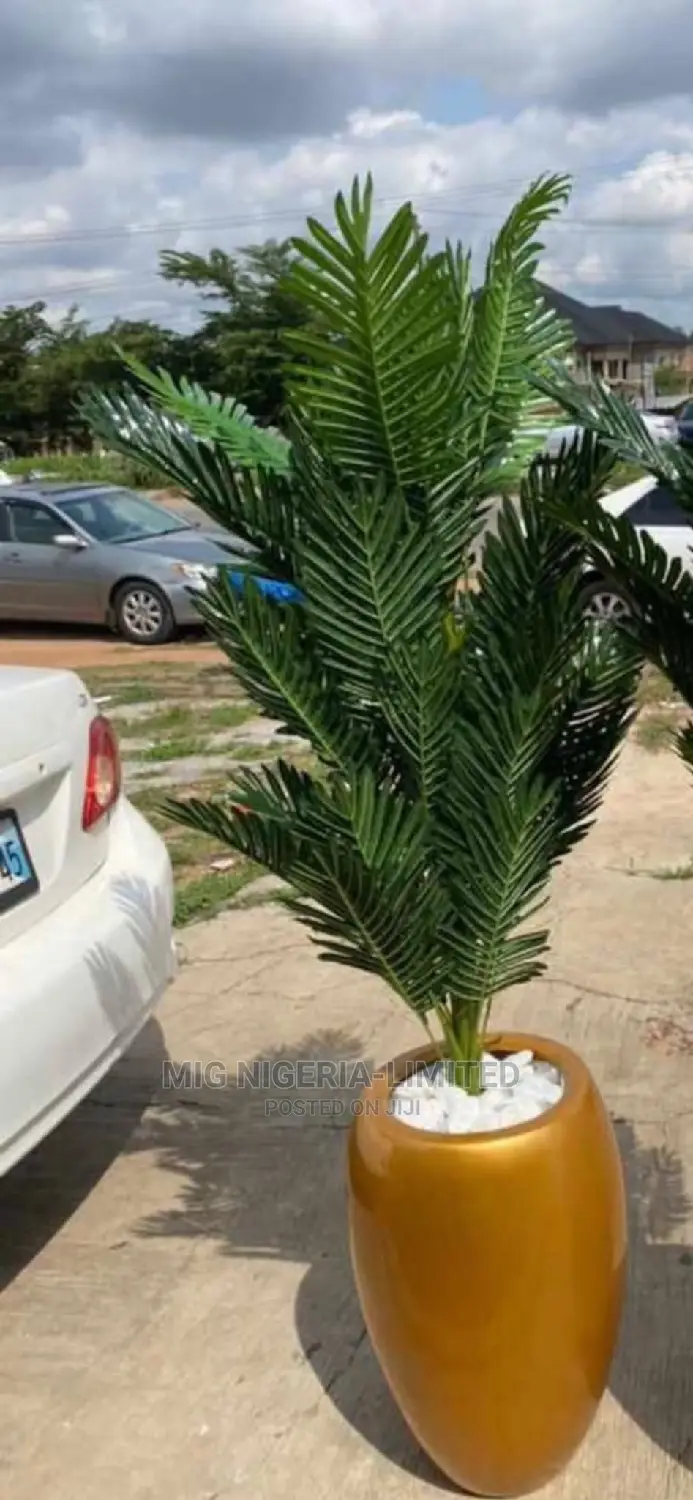 Palms Tree Plant and Pot Green Flower 4ft