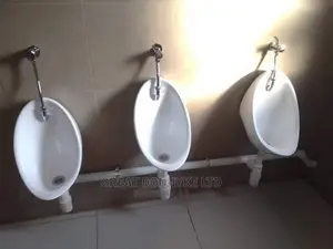 Urinal Bowl