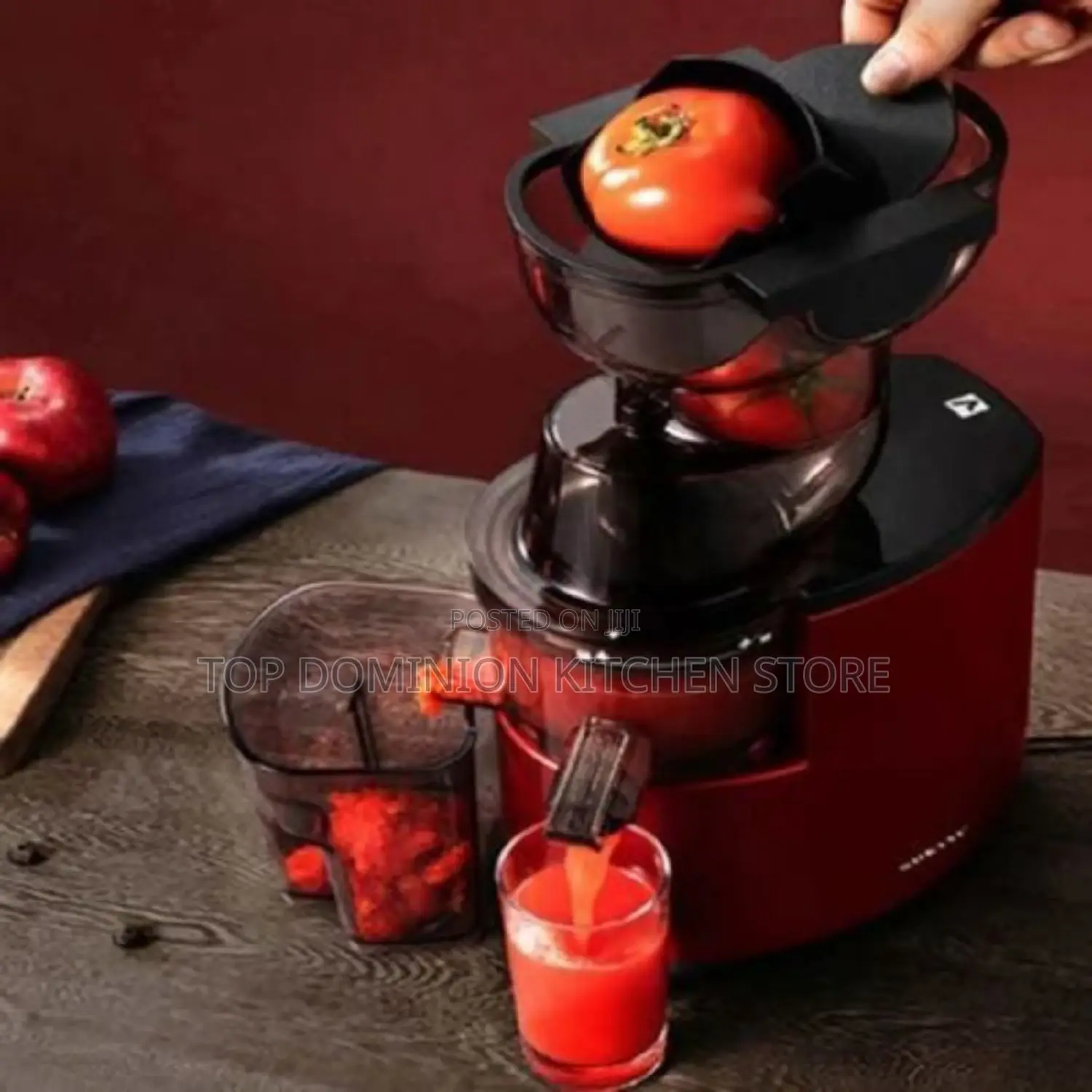 RAF Whole Fruit Multifunction Slow Juicer