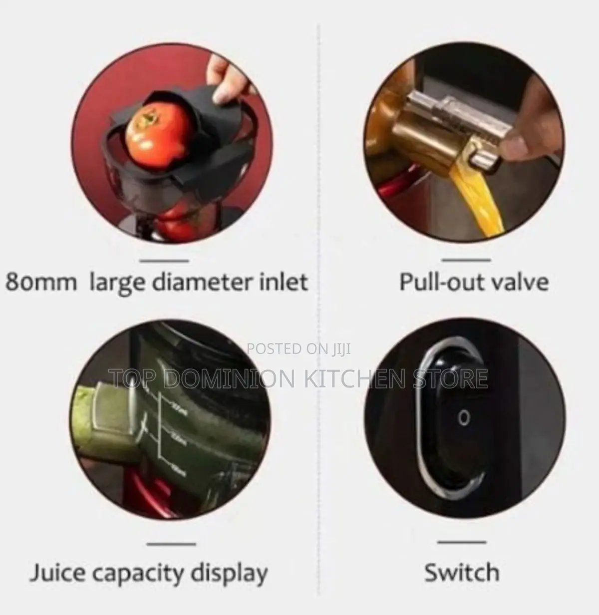 RAF Whole Fruit Multifunction Slow Juicer