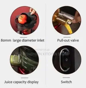 RAF Whole Fruit Multifunction Slow Juicer