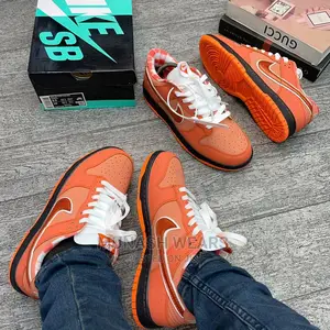 Nike Sb Sneakers