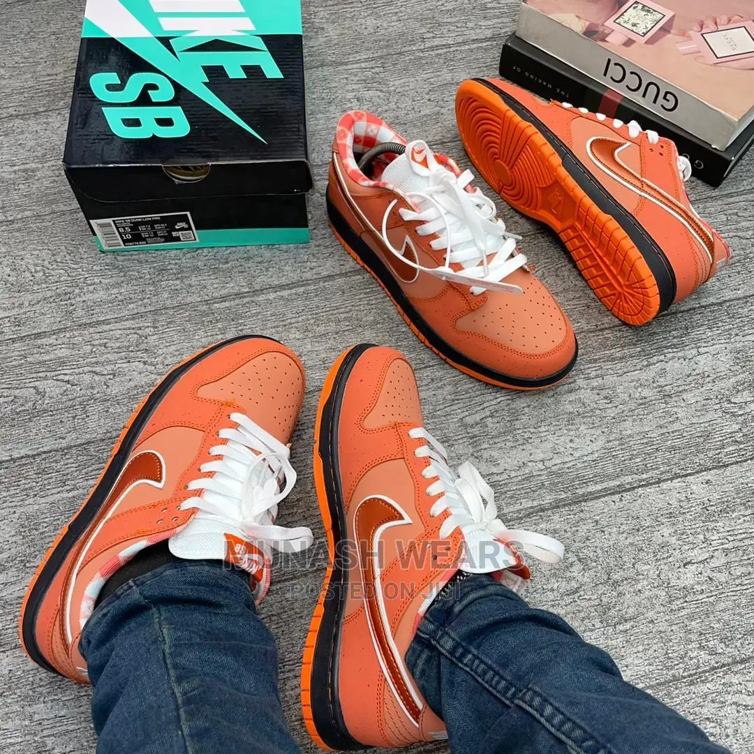 Nike Sb Sneakers