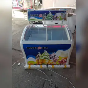 Commercial Ice Cream Freezer Double